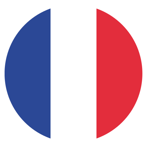 France Flag Icon